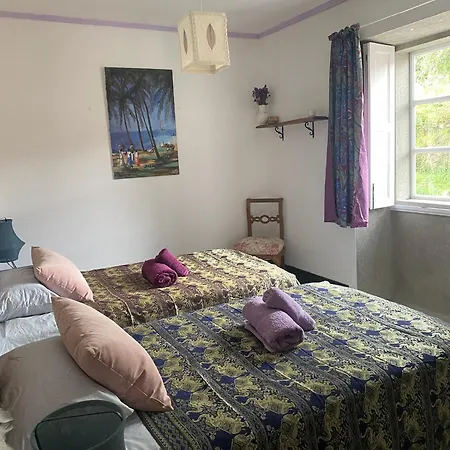 Casa Sanando Integrative Medicine Treat & Retreat Center Covas