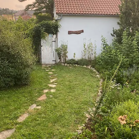Casa Sanando Integrative Medicine Treat & Retreat Center ベッド・アンド・ブレックファスト