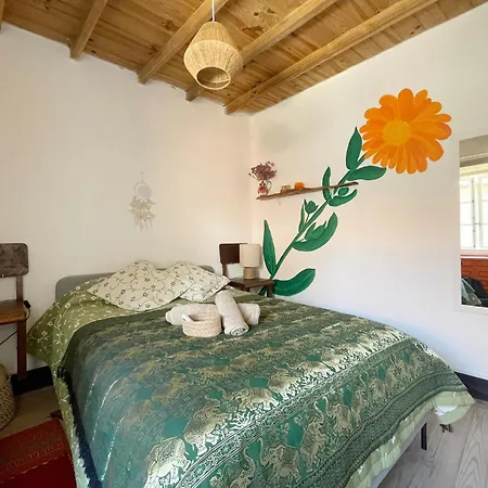 ベッド・アンド・ブレックファスト Casa Sanando Integrative Medicine Treat & Retreat Center *