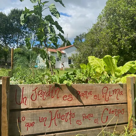 Bed & Breakfast Casa Sanando Integrative Medicine Treat & Retreat Center