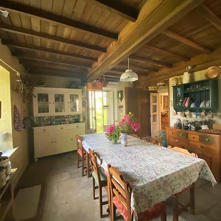 Casa Sanando Integrative Medicine Treat & Retreat Center Covas