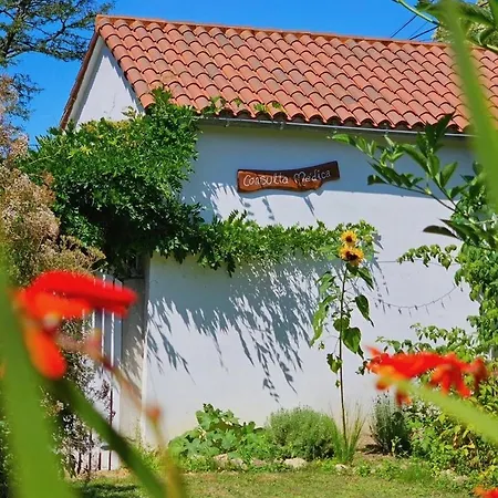 Casa Sanando Integrative Medicine Treat & Retreat Center Covas