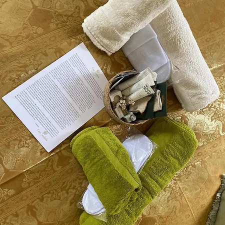Casa Sanando Integrative Medicine Treat & Retreat Center