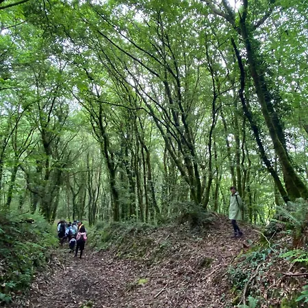 ベッド・アンド・ブレックファスト Casa Sanando Integrative Medicine Treat & Retreat Center Covas