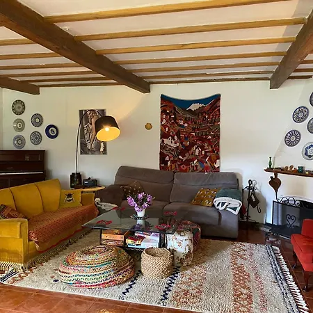 Casa Sanando Integrative Medicine Treat & Retreat Center *