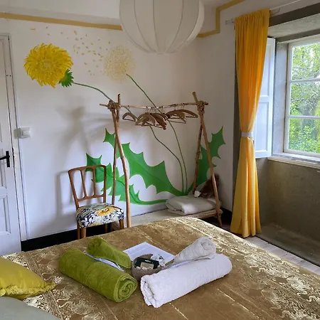 Casa Sanando Integrative Medicine Treat & Retreat Center Panzió *