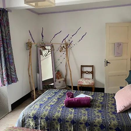 ベッド・アンド・ブレックファスト Casa Sanando Integrative Medicine Treat & Retreat Center *