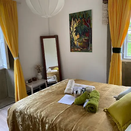 Casa Sanando Integrative Medicine Treat & Retreat Center ベッド・アンド・ブレックファスト Covas